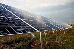 Castellón pide al Gobierno que paralice una planta fotovoltaica de casi 500 hectáreas