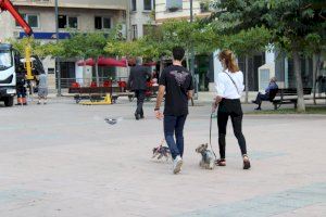 Espanya impulsa la Llei de Protecció Animal per a salvaguardar les mascotes