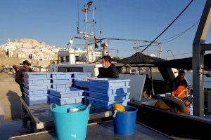 COINCOPESCA exigeix a la Secretaria General de Pesca que indique d'una vegada per sempre els dies que els corresponen pescar als arrossegadors valencians per a aquest 2022