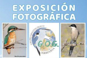 Mañana se inaugura la exposición fotográfica "Conociendo las aves"