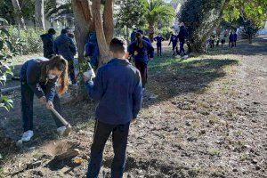 Los colegios de Sagunto celebran de nuevo el Día Escolar del Árbol