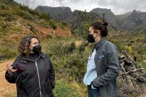 Transición Ecológica invierte medio millón de euros en la restauración forestal de la Marxuquera de Gandia