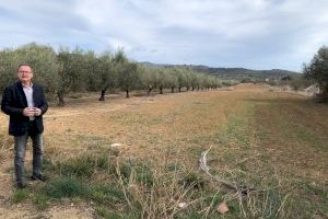 Alcalà-Alcossebre pide a la Generalitat Valenciana mayor celeridad para dar luz verde al Plan Especial de Suelo del bulevar entre los dos núcleos