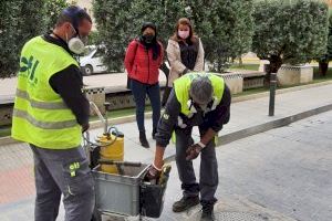 Crevillent realitza una campanya de control de plagues d'insectes i rosegadors a les dependències municipals