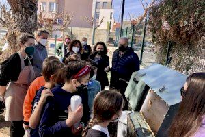 Almassora estrena els compostadors de fem orgànic en els seus col•legis