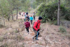 La Mancomunidad Espadán Mijares retoma las rutas de senderismo familiares los fines de semana