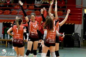 Pleno de victorias para los equipos del Familycash Xàtiva Voleibol en las ligas de plata españolas