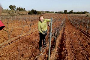 LA UNIÓ informa que solo 17 mujeres están dadas de alta en el registro de explotaciones agrarias de titularidad compartida en la Comunitat Valenciana