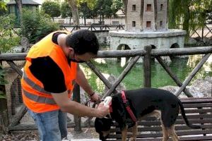 La campanya d'assessorament cap als animals de companyia aconsegueixen el registre de 109 gossos en el cens municipal