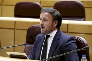Pablo Ruz renovará su mandato al frente del Partido Popular de Elche