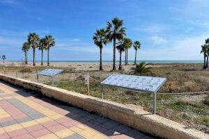 Xilxes instala paneles informativos en las dunas de la Playa de Les Cases y realiza una charla de concienciación en el Colegio CEIP Lluís Vives