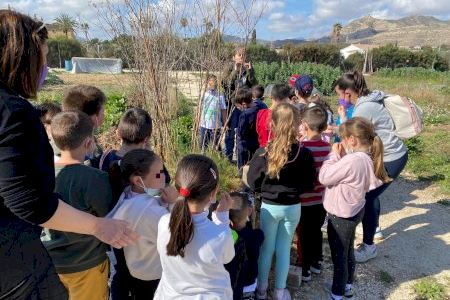 El Ayuntamiento de Aspe vuelve a organizar la visitas escolares a los Huertos Ecológicos municipales
