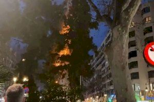 Emergencias pide precaución con los petardos: un árbol ha ardido en Valencia tras tirar uno