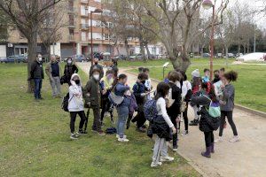 Itinerarios botánicos para escolares por Villa Amparo en agradecimiento por la participación en el Día del Árbol