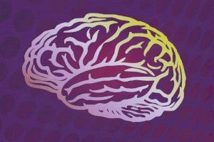 L'Institut de Neurociències obri les seues portes al públic en la Setmana del Cervell