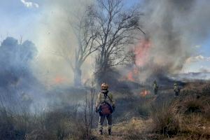 Transición Ecológica destina 1,6 millones de euros a la ejecución de planes locales de prevención de incendios forestales en 2022