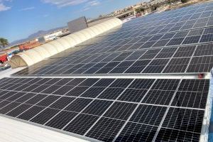 Mercalicante instala una planta solar fotovoltaica que evitará la emisión de 88 toneladas de CO2 al año