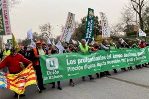 Decenas de agricultores y ganaderos valencianos se manifiestan en Madrid para denunciar su situación insostenible