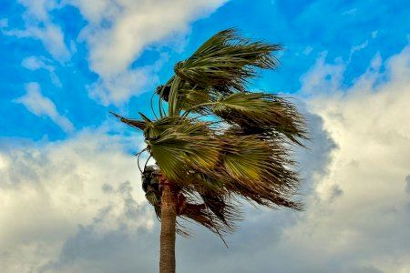 El Ayuntamiento de Villena advierte de la posibilidad de fuertes rachas de viento y solicita colaboración ciudadana para evitar riesgos