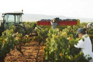 Los agricultores valencianos critican que las medidas del Gobierno para la sequía no aplican la prometida doble tarifa eléctrica