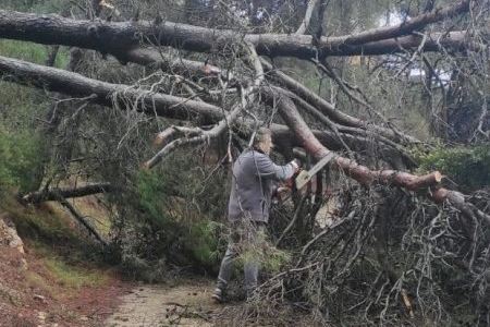 Una familia, incomunicada en Alfondeguilla, por la caída de árboles por la lluvia