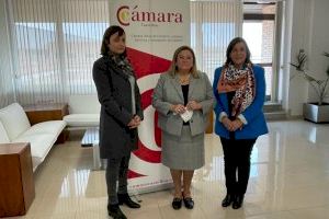 Benicàssim refuerza la alianza con la Cámara de Comercio de Castellón para la innovación del tejido comercial del municipio
