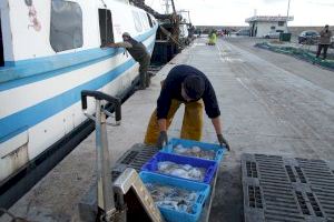 Calp pide a la Generalitat Valenciana que destine ayudas para paliar la crisis del sector pesquero