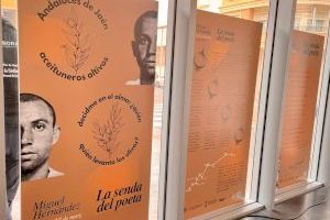 La Senda del Poeta 2022 llega al Centre Jove con una selección de poemas de Miguel Hernández