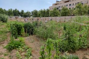 El projecte ARCH reuneix el sector agroalimentari de València per a fer front al canvi climàtic