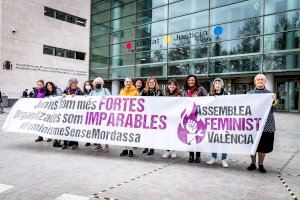 Una altra piquetera a judici per la vaga feminista del 8M de 2018