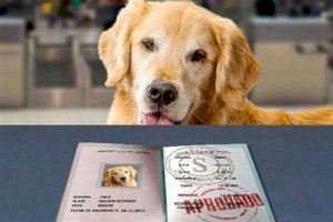 Campaña de implementación de microchip, pasaporte y vacuna de la rabia para mascotas