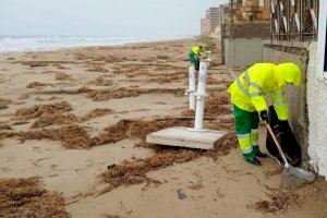 El Ayuntamiento de Elche realiza un plan extraordinario de limpieza para poner a punto las playas de cara a Semana Santa