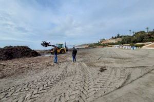 Limpieza Viaria y RSU comienza la retirada de Posidonia y limpieza de las playas tras el temporal para que estén listas en Semana Santa