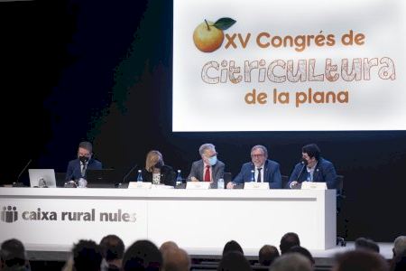 El XV Congrés de Citricultura de la Plana reivindica la diferenciació i valoració de la Clemenules