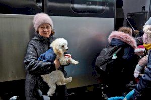 Las mascotas de los refugiados ucranianos no pagarán por los gastos de control en la Comunitat Valenciana