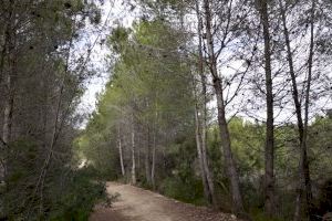 El Ayuntamiento de Paterna organiza Rutas turísticas pascueras por la las trincheras de La Vallesa y el entorno de la Torre y Parc Central