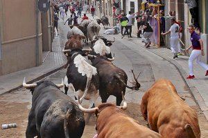 Almassora recuperarà la fira de Santa Quitèria amb 15 bous
