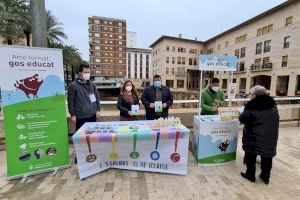 La campanya de conscienciació Amo format, gos educat, torna als carrers d’Alzira