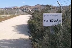 Margalló-Ecologistas en Acción solicita la adopción de medidas cautelares ante el nuevo corte de una vía pecuaria en Elche