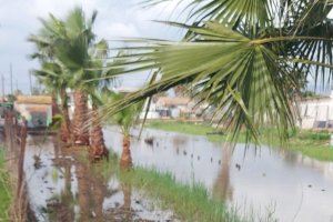 Som Castelló reclama que el Ayuntamiento active los bombeos para desaguar ante las inundaciones en la Marjalería