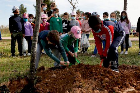 Más de 700 escolares participan en una plantación de árboles en Mislata