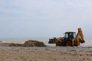 Recogen más de 300 toneladas de cañas, piedras y residuos en las playas de Burriana