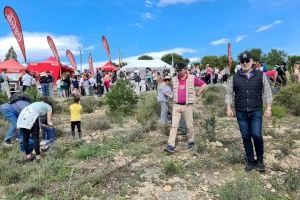 Centenares de personas se reúnen en el monte Orgegia para plantar un millar de árboles en el 'Alicante Renace 2022'