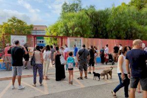 Catarroja decide la jornada escolar en sus centros educativos