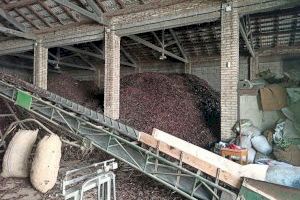 Ocho detenidos por robar más de 23 toneladas de algarroba en Valencia