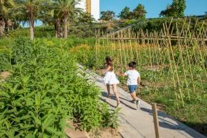 La Regidoria d’Agricultura ofereix activitats extraescolars sobre l’Horta i l’alimentació per als més menuts