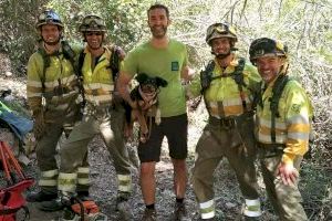 Els bombers rescaten a un gos caigut al riu Túria a Xulilla