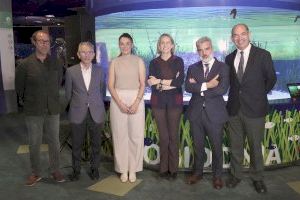 Nace el ‘Projecte Posidònia’ para proteger los fondos marinos de la Comunidad Valenciana
