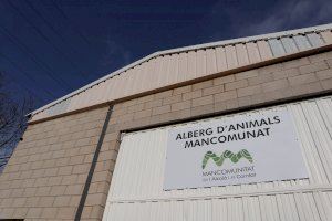 La Mancomunitat de l’Alcoià i el Comtat comptarà amb les protectores per al seguiment del Centre de Protecció Animal
