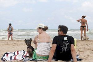 El Partido Popular propone volver a instalar la Playa Can en Gandia